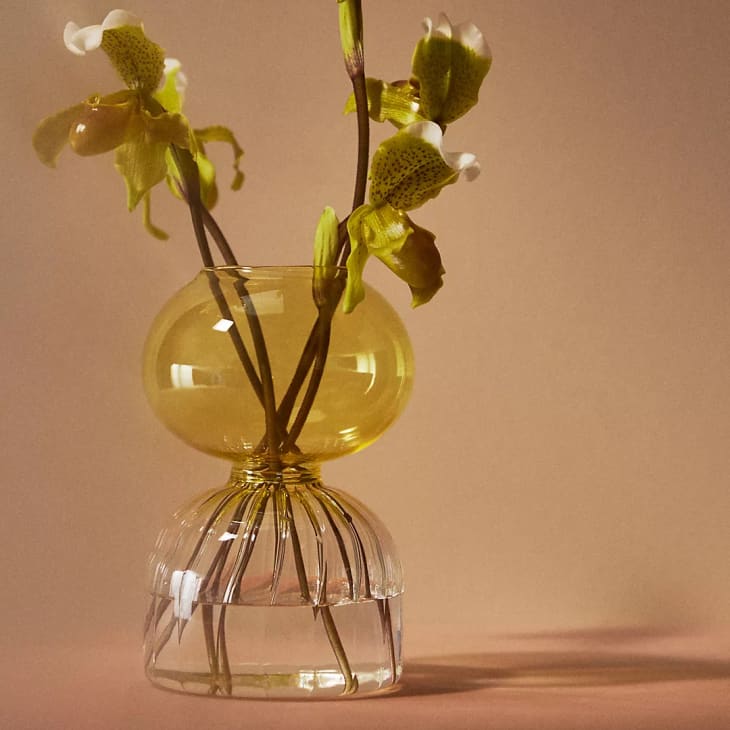 15 Best Flower Vases Glass, Ceramic, Colorful Apartment Therapy