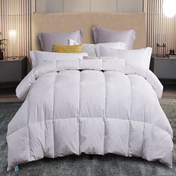 The Best Gift Ideas From Macy's (2023) Apartment Therapy