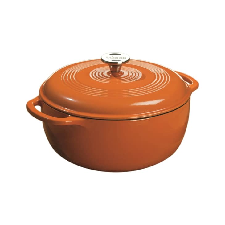 Le Creuset Vs Staub Vs Lodge Dutch Ovens (My Honest Review) | The Kitchn