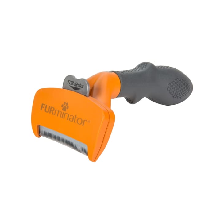 Best Dog Brushes for Shedding: 16 Top Tools Every Pet Owner Needs