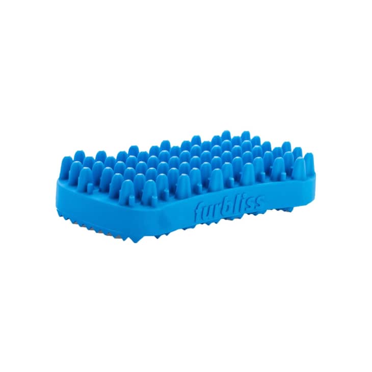 9 Best Pet Hair Brushes, Including Editor Favorites Apartment Therapy