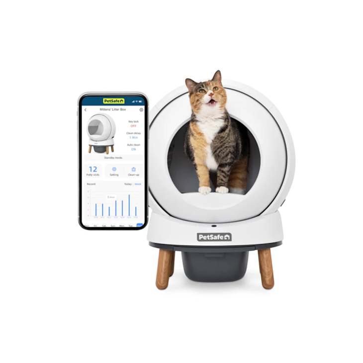 Petsafe scoopfree self cleaning litter box reviews hot sale
