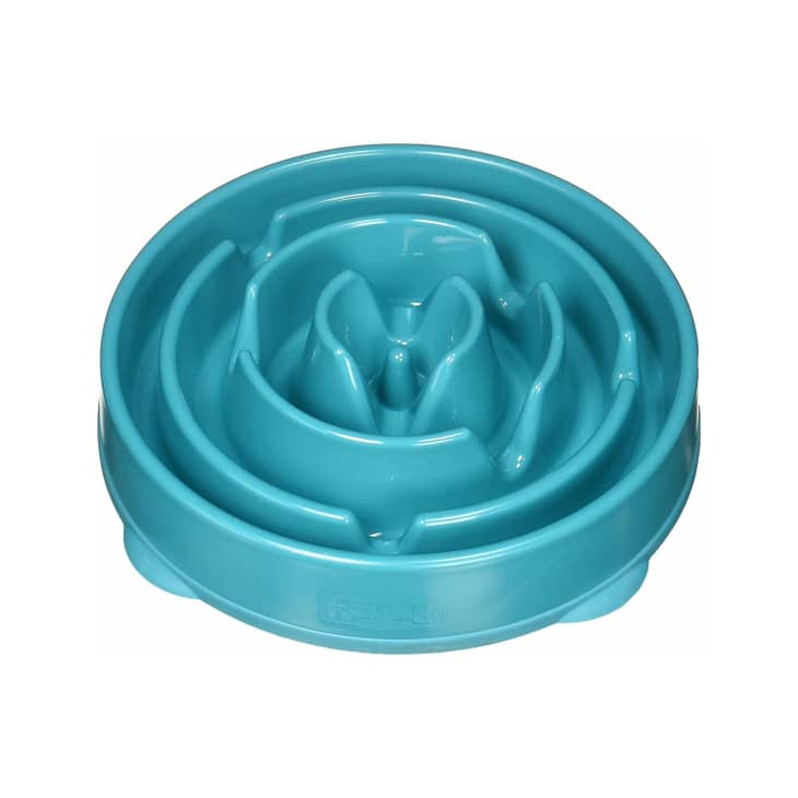 12-best-pet-bowls-2023-elevated-ceramic-slow-feeding-the-kitchn