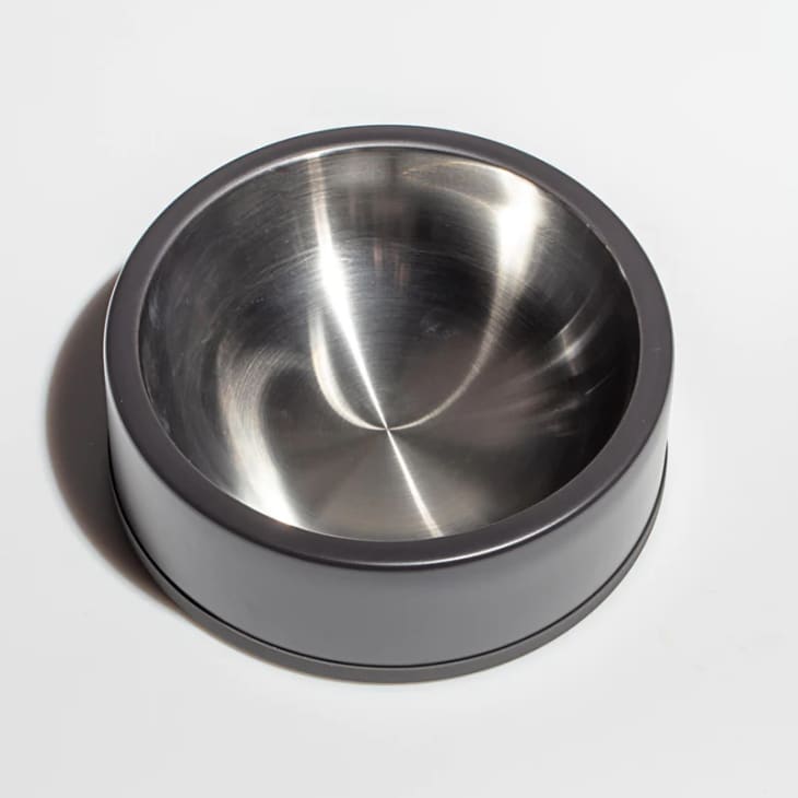 12 Best Pet Bowls 2023 Elevated, Ceramic, SlowFeeding The Kitchn