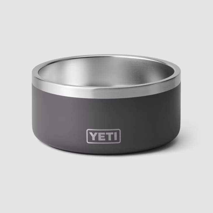 12 Best Pet Bowls 2023 Elevated Ceramic Slow Feeding The Kitchn