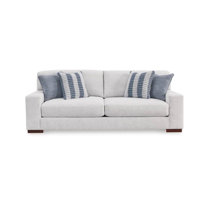 Ashley furniture dog friendly store