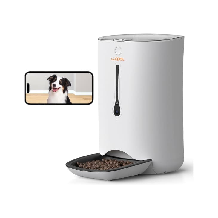 Best Automatic Pet Feeders Walmart Amazon Chewy The Kitchn