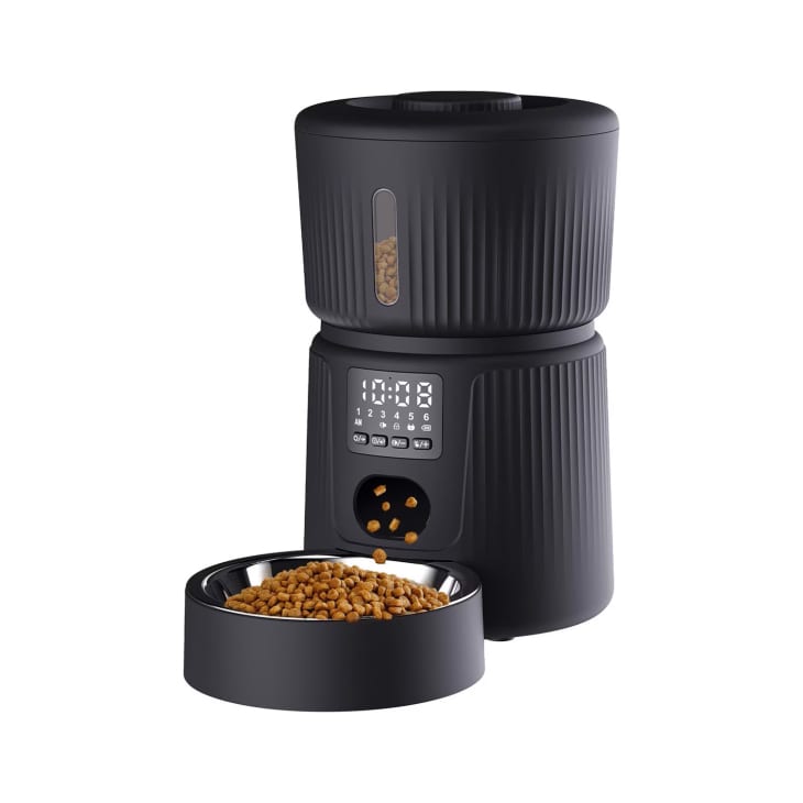 Best Automatic Pet Feeders Walmart Amazon Chewy The Kitchn