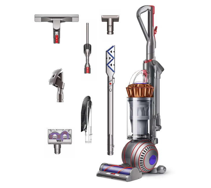 Dyson Ball Animal 3 Vacuum Cleaner Major QVC Sale The Kitchn