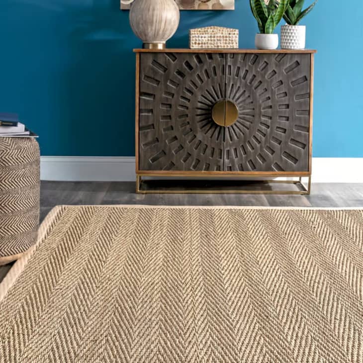 Best Memorial Day Rug Deal, According to a Shopping Editor Apartment