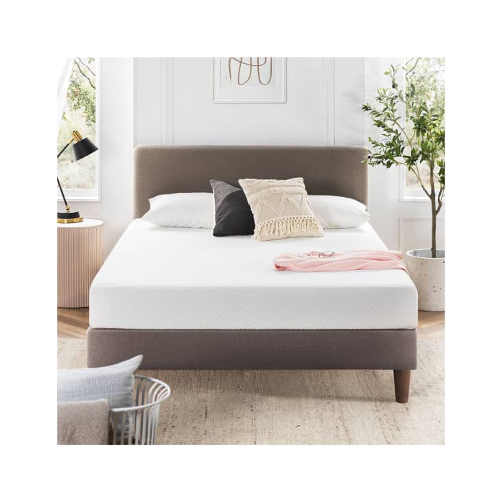 9 Best Wayfair Mattresses, According to Shoppers Apartment Therapy