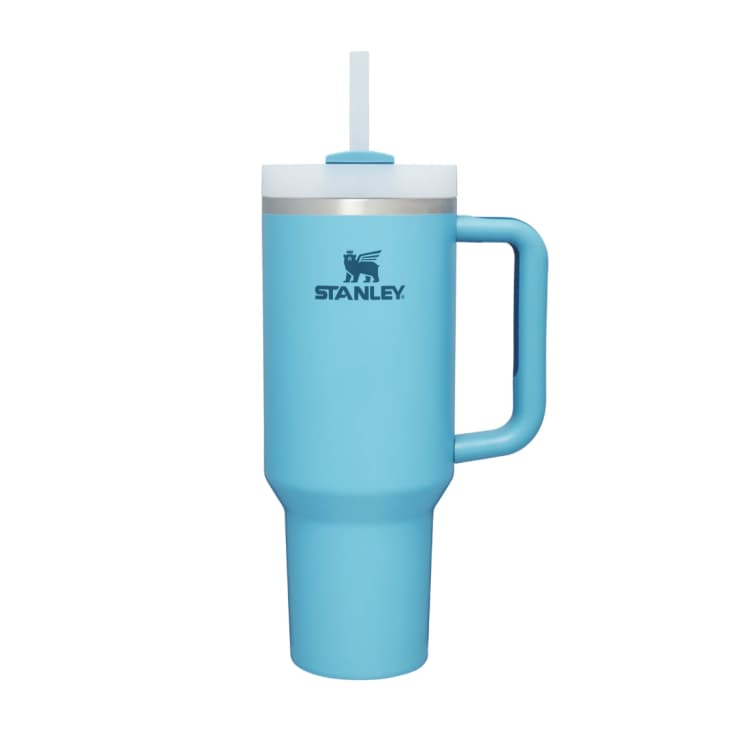 Stanley Just Restocked Their Famous Quencher in Two New Spring Colors ...