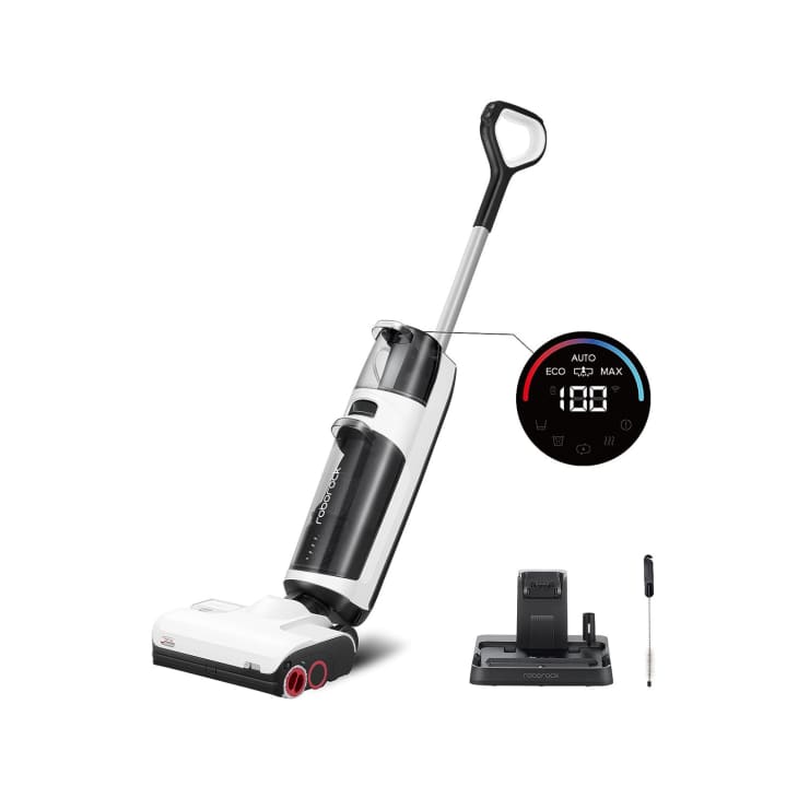 9 Best Wet Dry Vacuums Bissell, Tineco, Shark Apartment Therapy