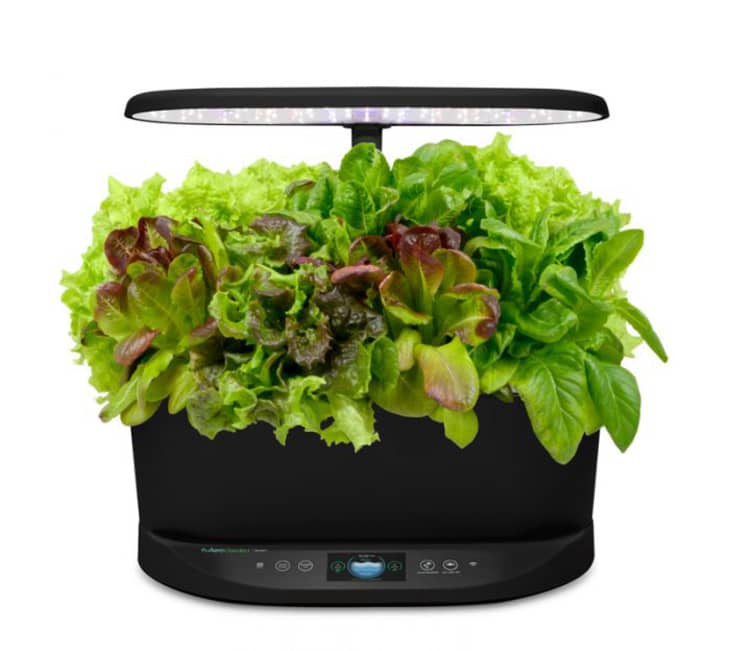 Product Image: AeroGarden Bounty