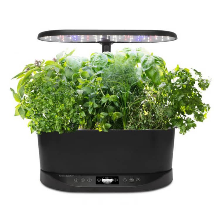 Product Image: AeroGarden Bounty Basic