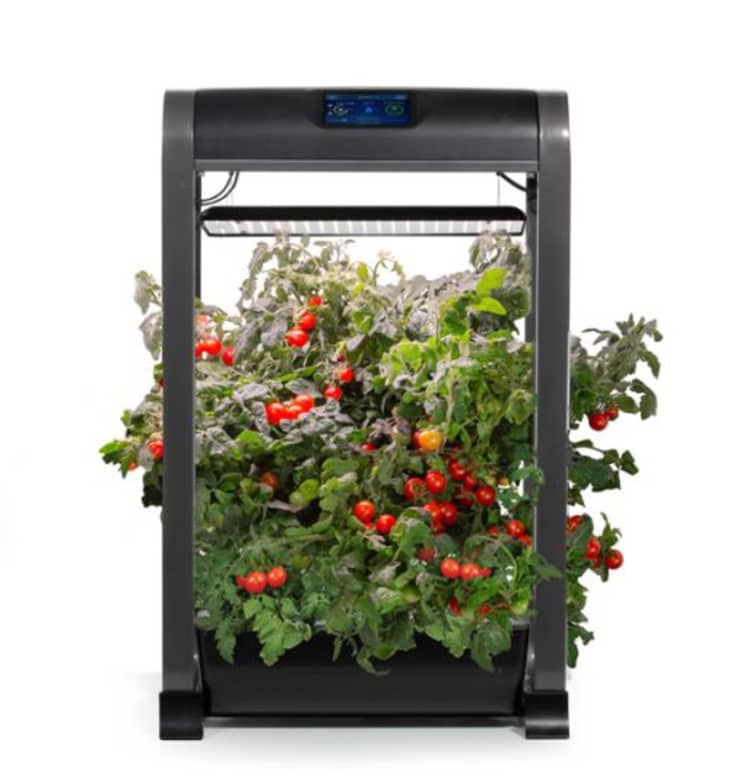 Product Image: AeroGarden Farm 12