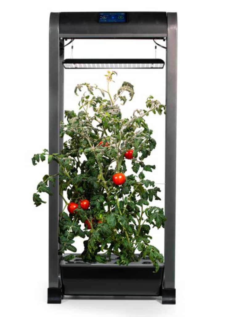 Product Image: AeroGarden Farm 12XL