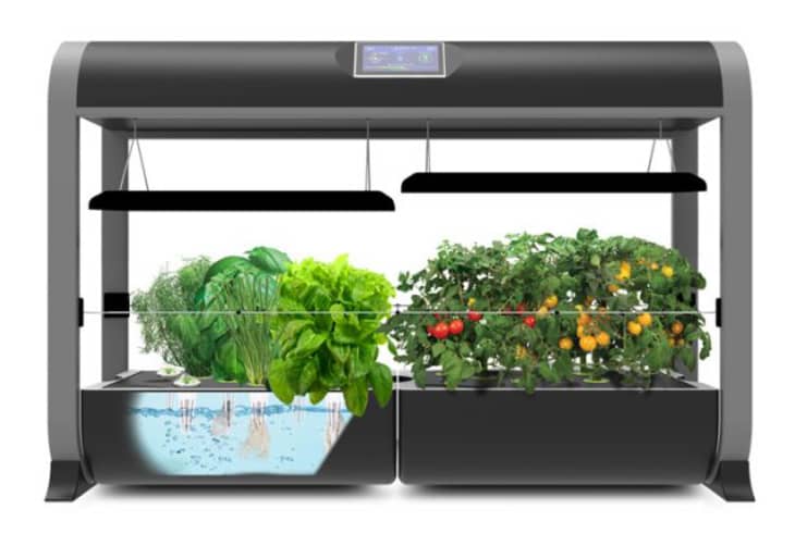 Product Image: AeroGarden Farm 24Basic