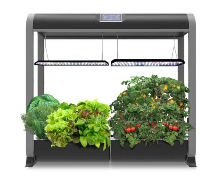 Product Image: AeroGarden Farm 24Plus