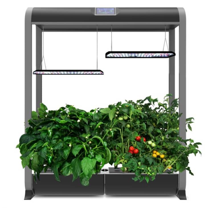 Product Image: AeroGarden Farm 24XL