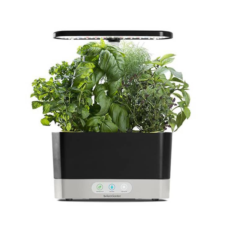 Product Image: AeroGarden Harvest