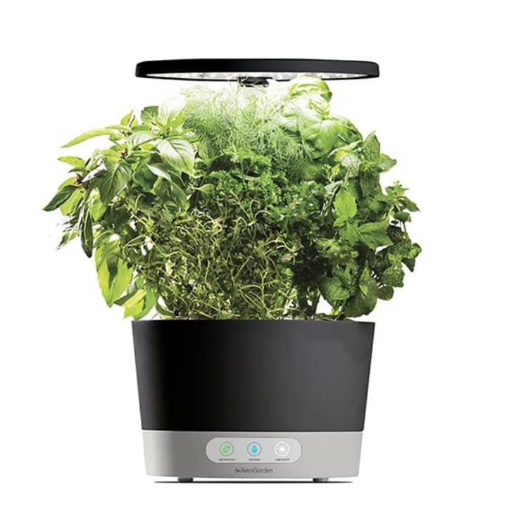 Product Image: AeroGarden Harvest 360