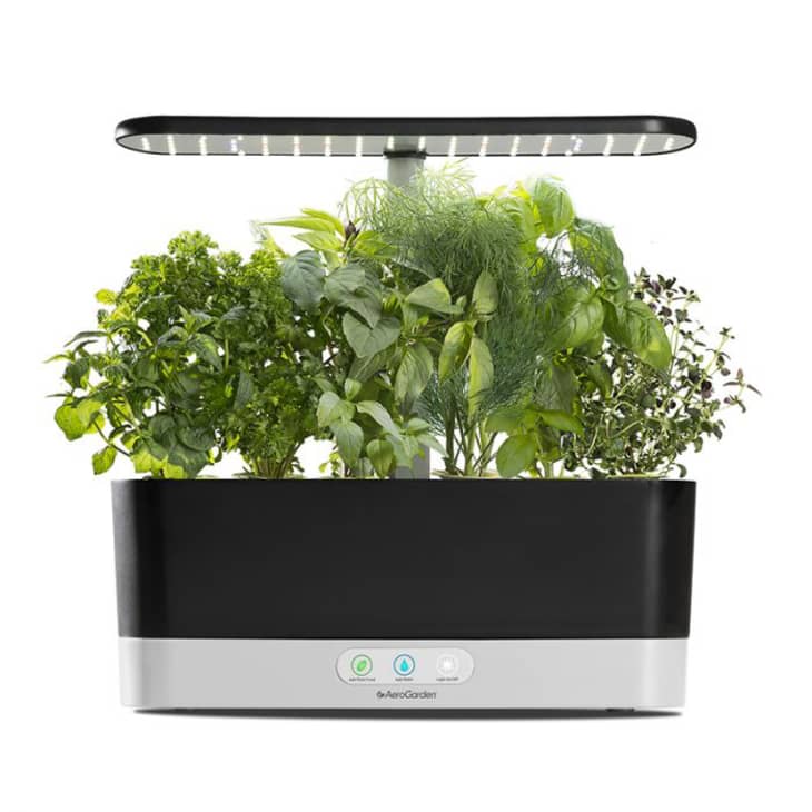 Product Image: AeroGarden Harvest Slim