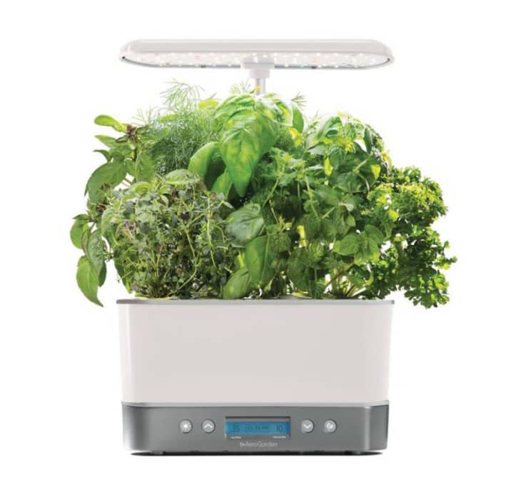 Product Image: AeroGarden Harvest Elite