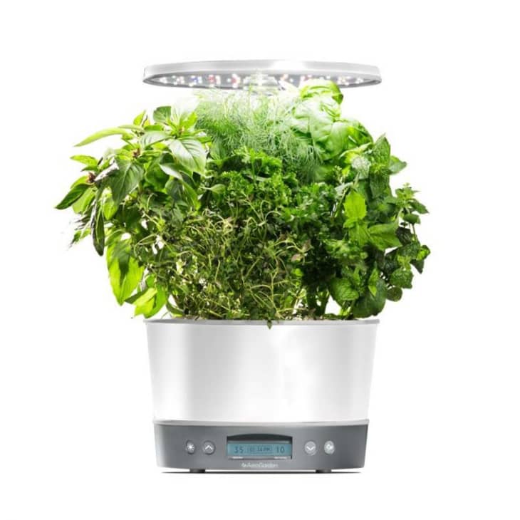 Product Image: AeroGarden Harvest Elite 360