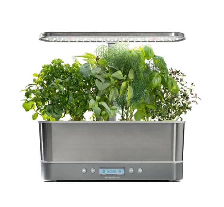 Product Image: AeroGarden Harvest Elite Slim