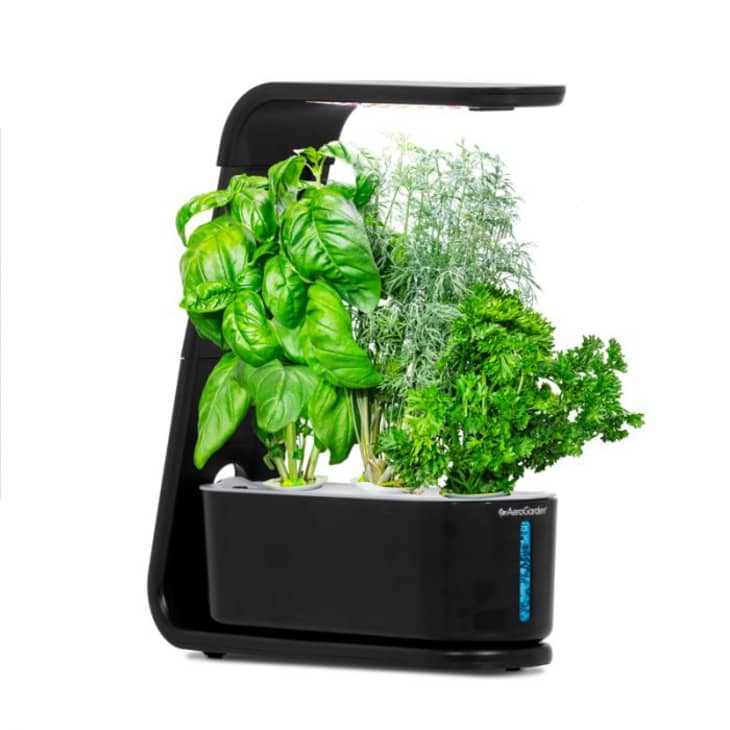Product Image: AeroGarden Sprout