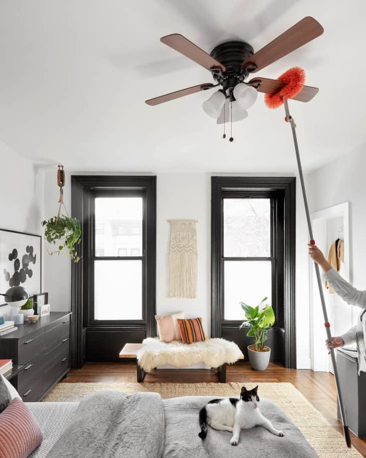 The 10 housekeeping basics everyone should know and use apartment therapy