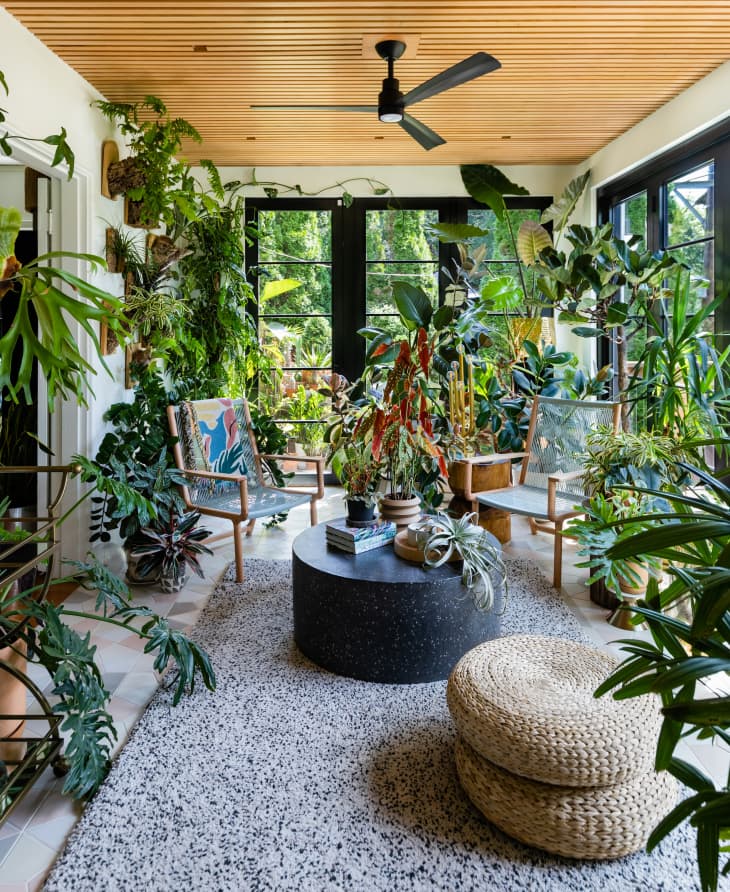 Modern Lush Baltimore House Tour Apartment Therapy