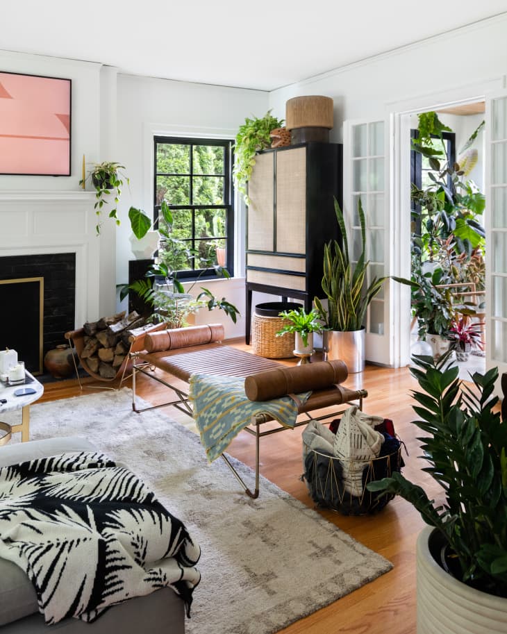 Modern Lush Baltimore House Tour Apartment Therapy