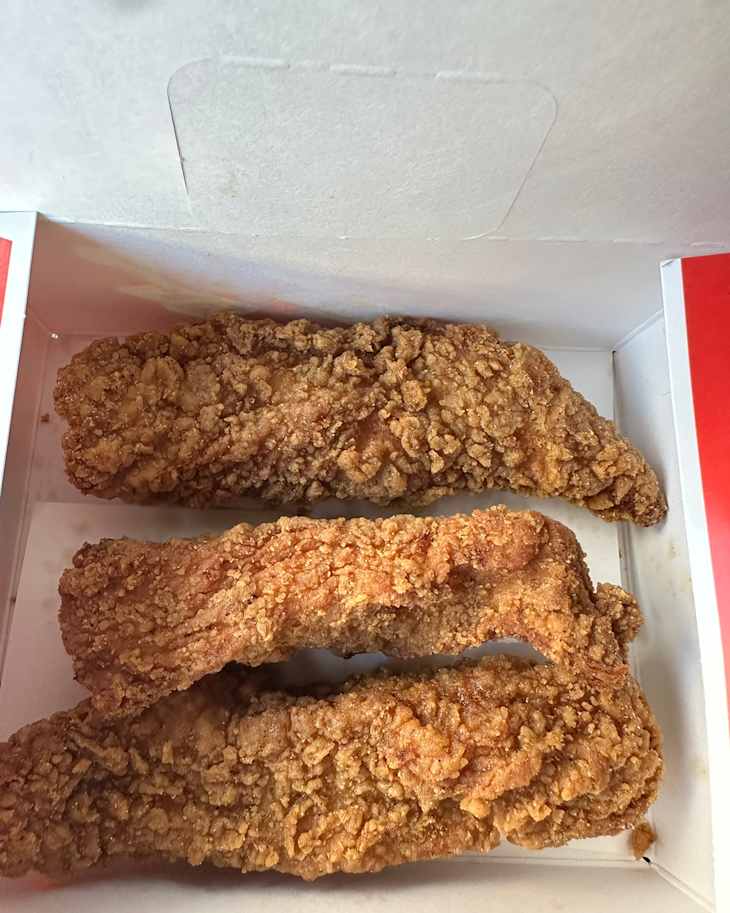 I Tried Wendy’s New Chicken Tendys & Dipping Sauces | Dorm Therapy