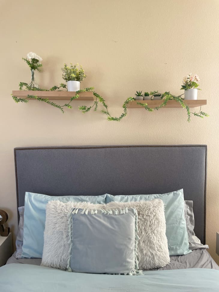 Grey upholstered headboard with open shelves topped with plants in dorm room.