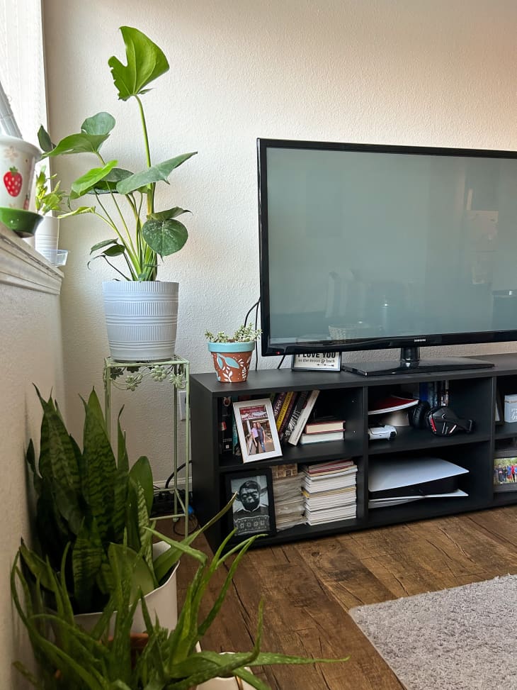Plants in pots near a large tv and black media center.