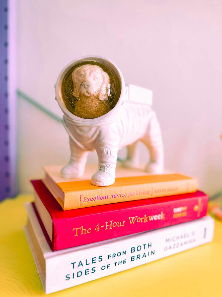 dog astronaut statue on pile of books