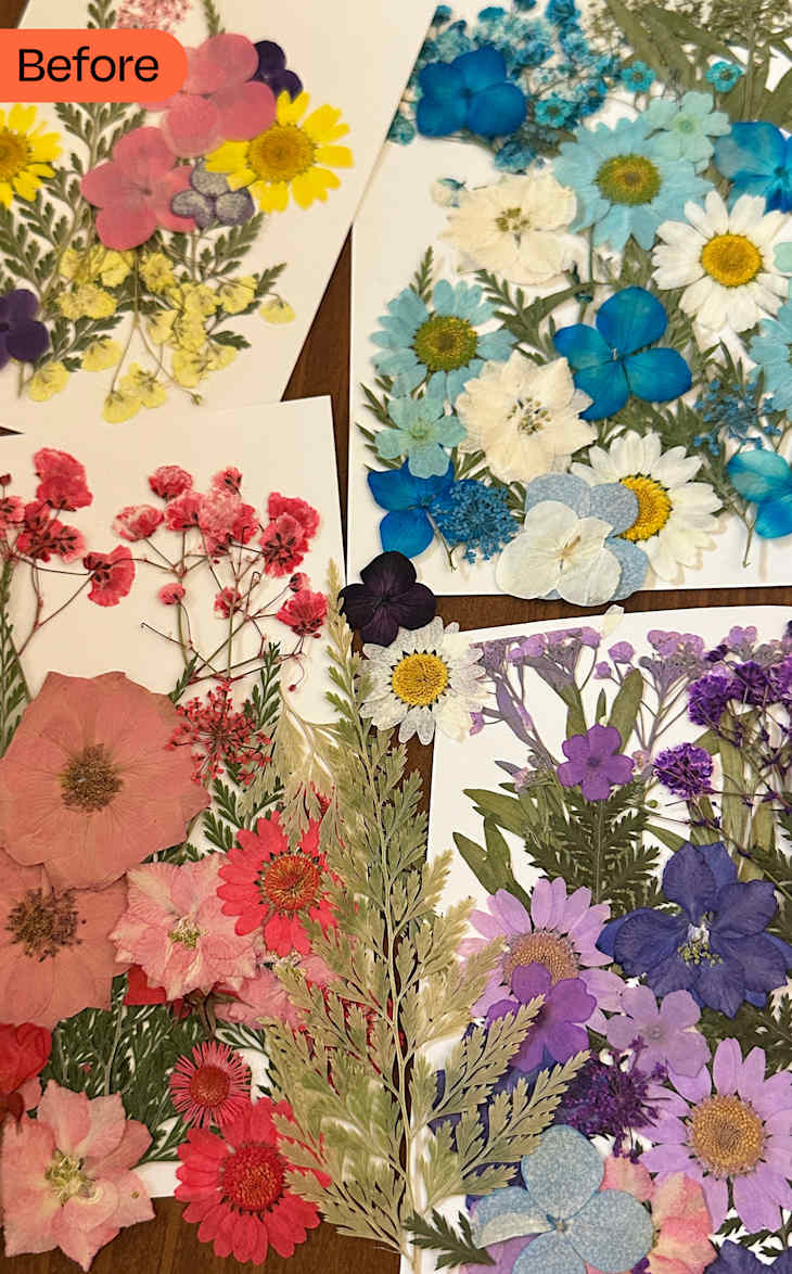 How to Decorate a Pumpkin with Pressed Flowers Dorm Therapy