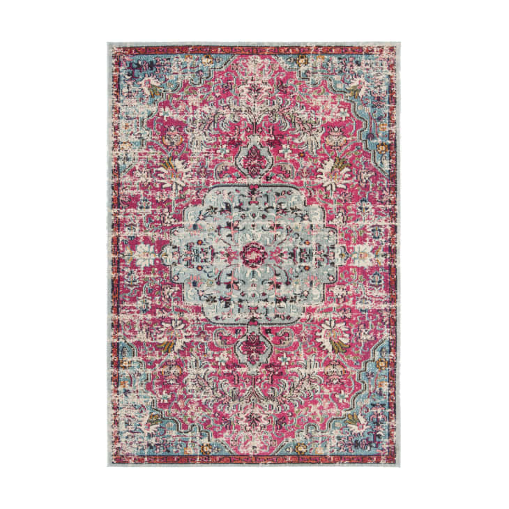 Product Image: Felty Performance Fuchsia/Teal Rug