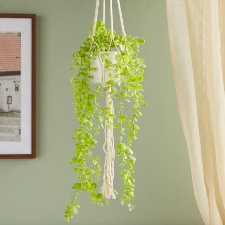 Product Image: 2 Pack Hanging Artificial Eucalyptus, Faux Fake Vine Plants with Ceramic Pots