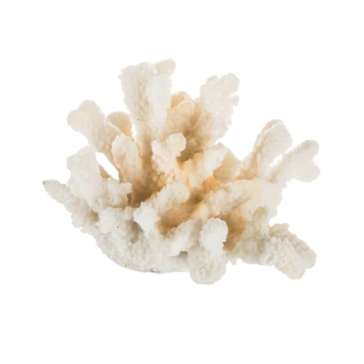Product Image: Faux Coral Decor