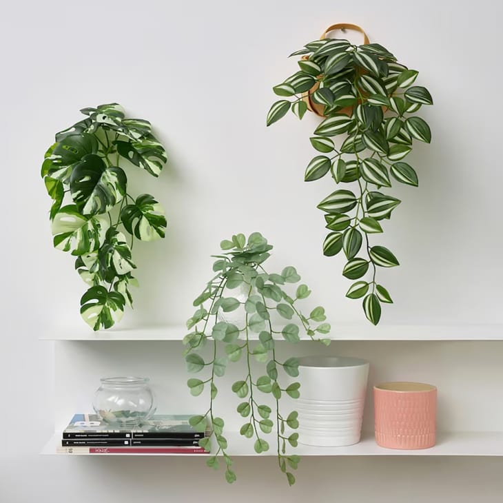 Product Image: Artificial Wall Plants