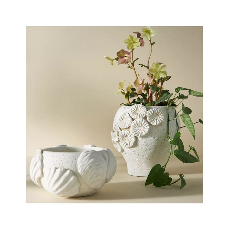 Product Image: Coastal Garden Pot