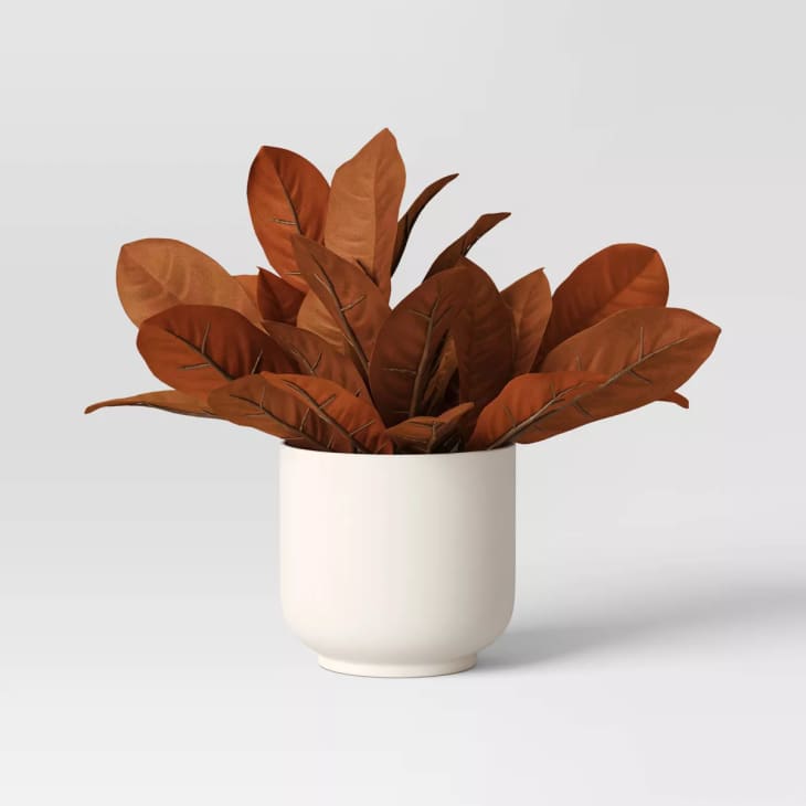 Product Image: Threshold Mini Artificial Fall Leaf Arrangement, Brown