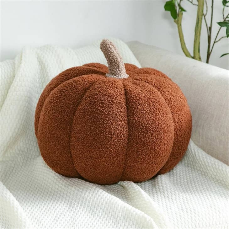 Product Image: Pumpkin Throw Pillow