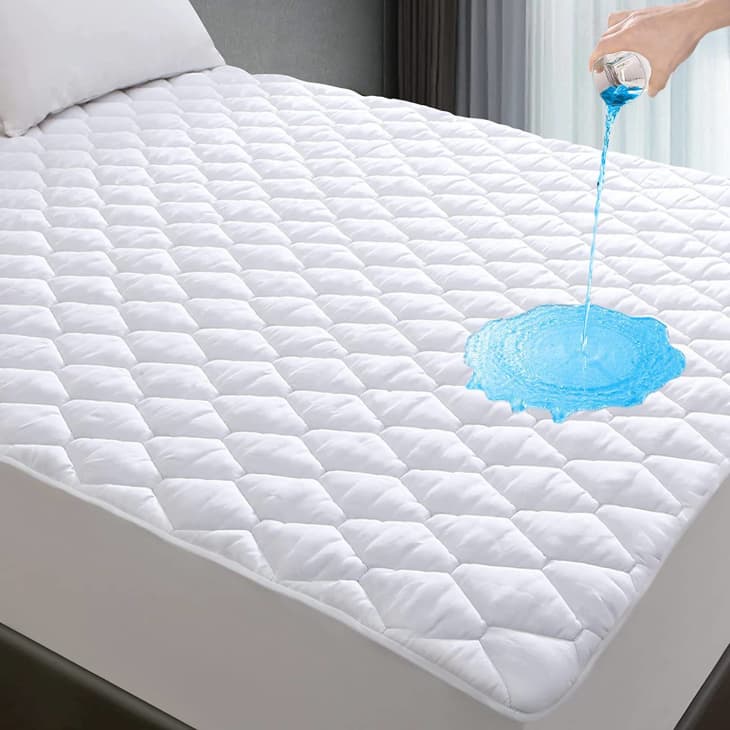 Product Image: Twin XL Mattress Protector