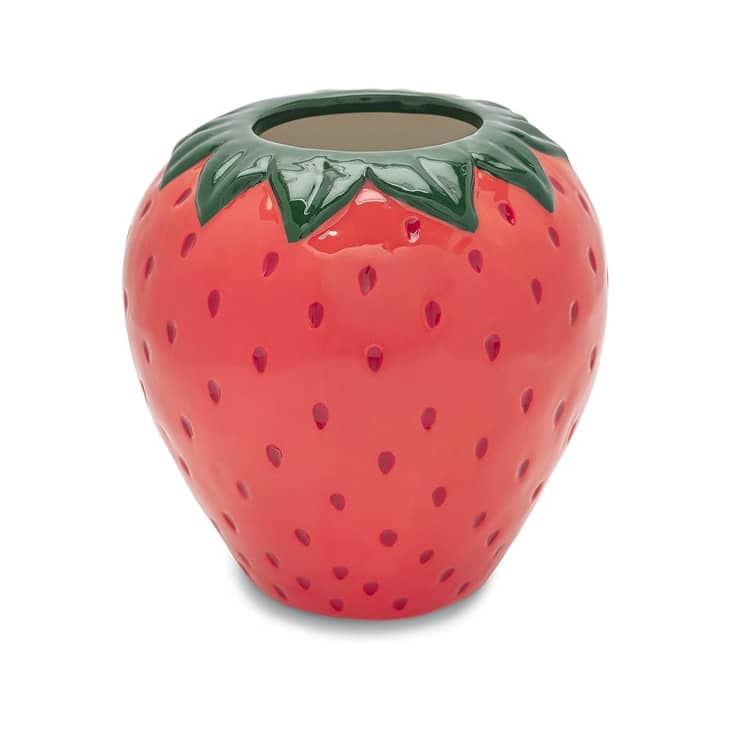 ban.do Vintage Inspired Strawberry Vase at Amazon