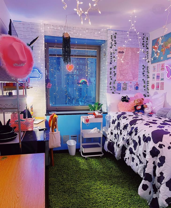 Cow print comforter in colorful dorm room.