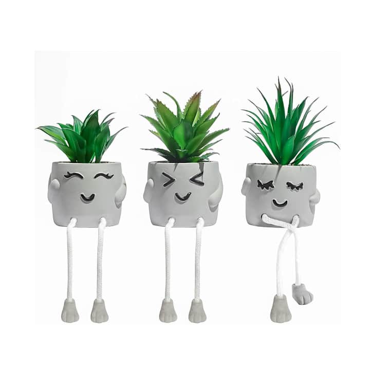 These "Expressive" Mini Succulents Are My Fave Room Decor | Dorm Therapy